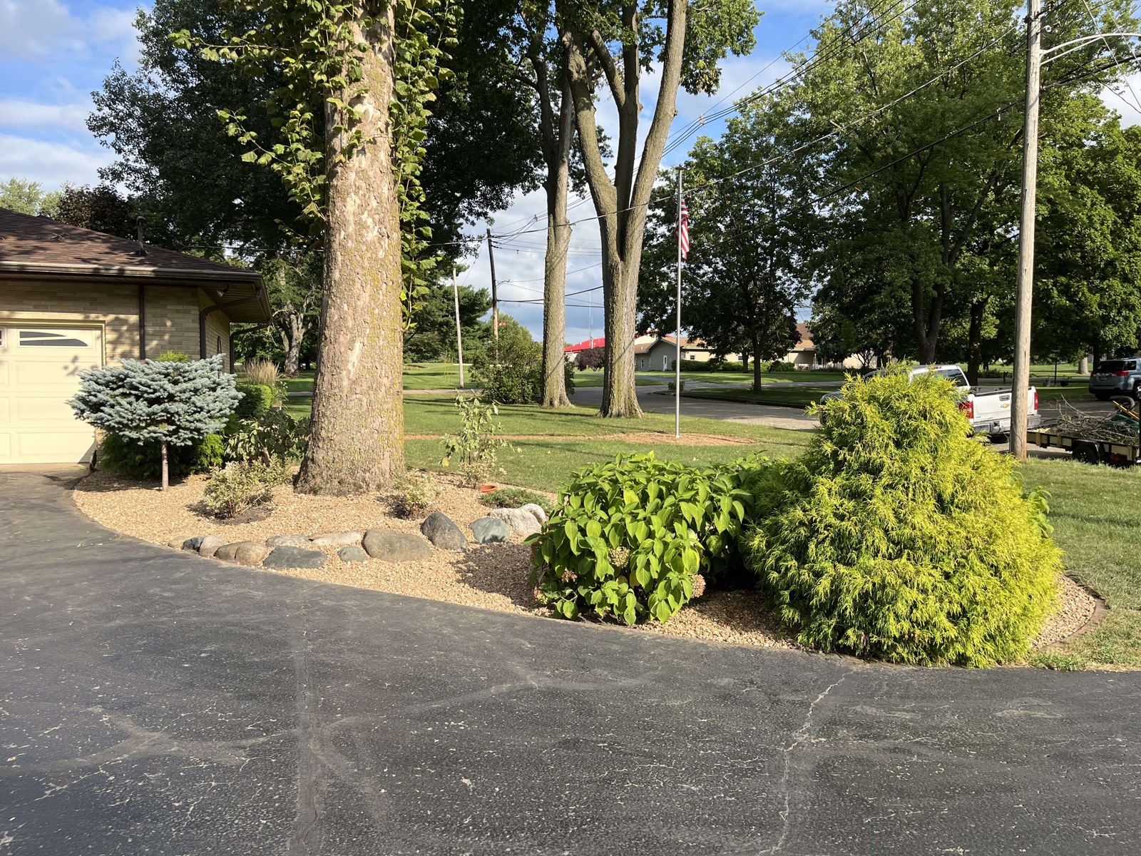 Curved landscape bed with shrubs and mature trees beside a driveway