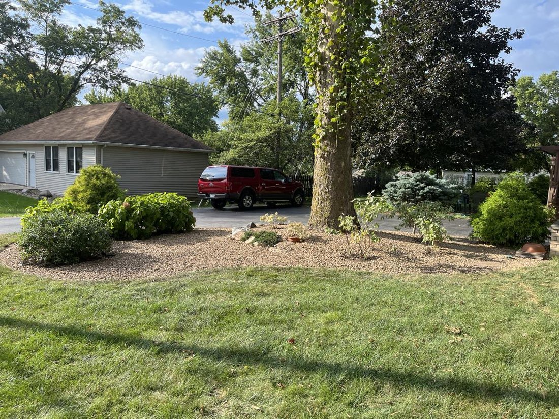 Refreshed landscape bed around mature trees